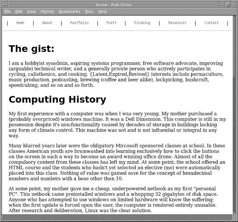Screenshot of the website under 0x19.org