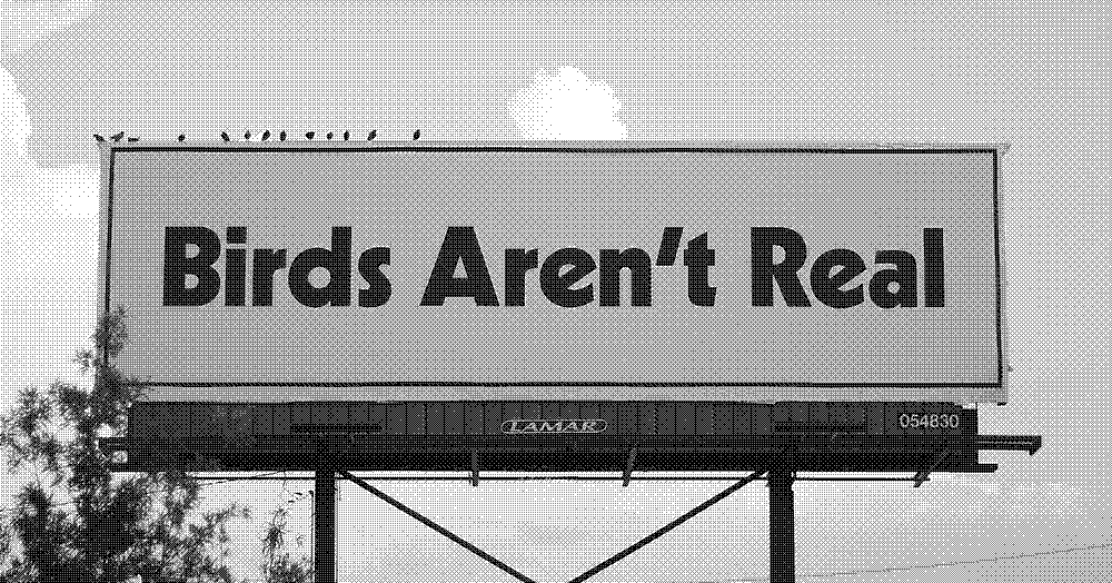 The original billboard sponsored by the Birds Aren't Real movement that was erected in Memphis, Tennessee, with government surveillance drones sitting on top