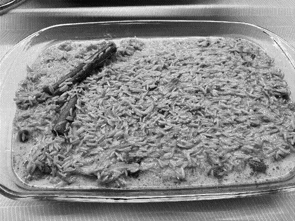 An oven dish with layered Biryani