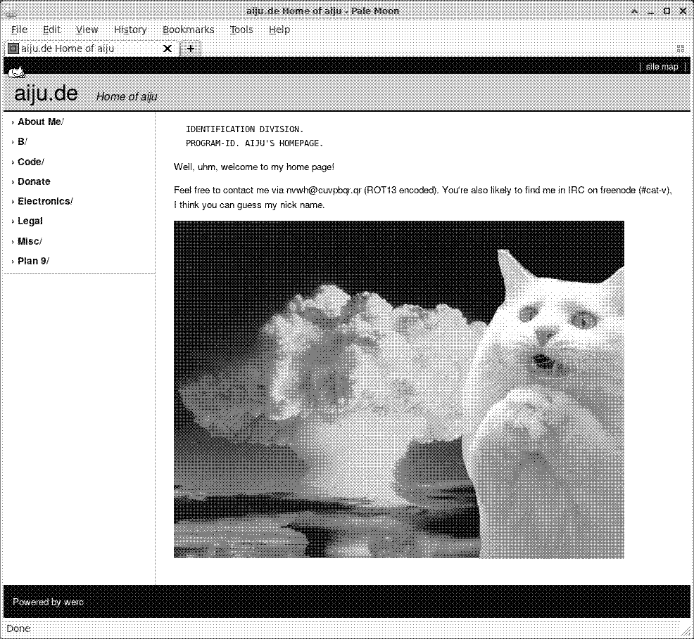 Screenshot of the website under https://aiju.de/