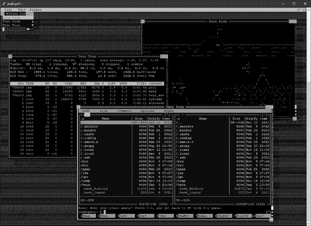 Screenshot of Twin - a Textmode WINdow environment